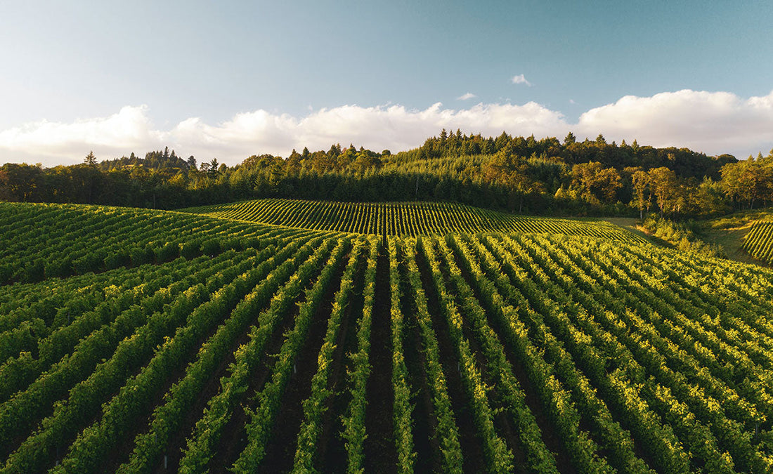 Gerard’s, bellezza e benessere made in Franciacorta