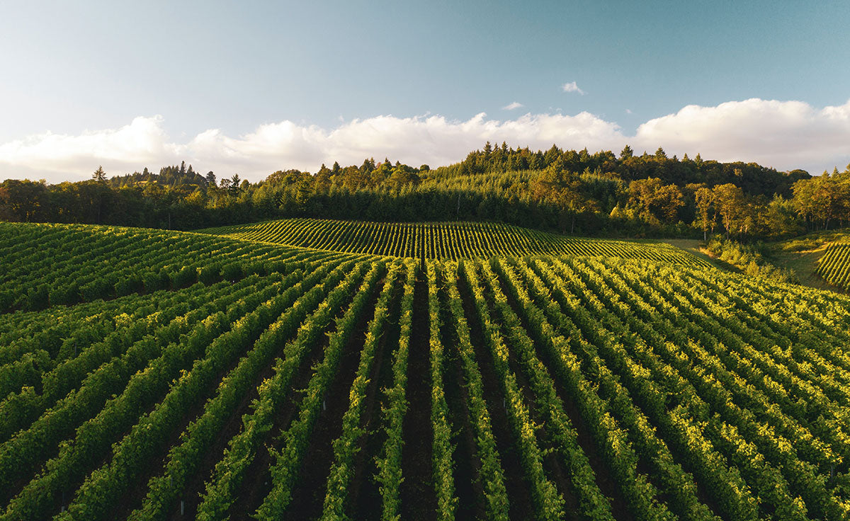 Gerard’s, bellezza e benessere made in Franciacorta
