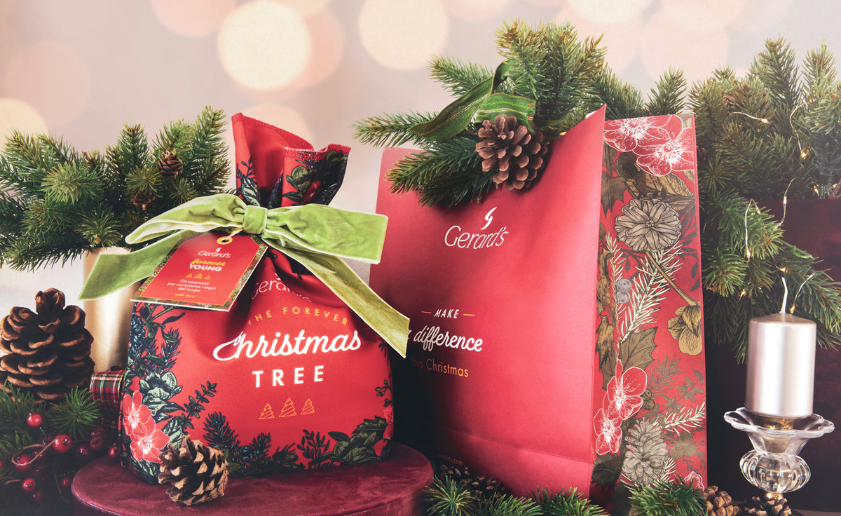 Christmas is coming! Goditi l’atmosfera natalizia con Gerard’s