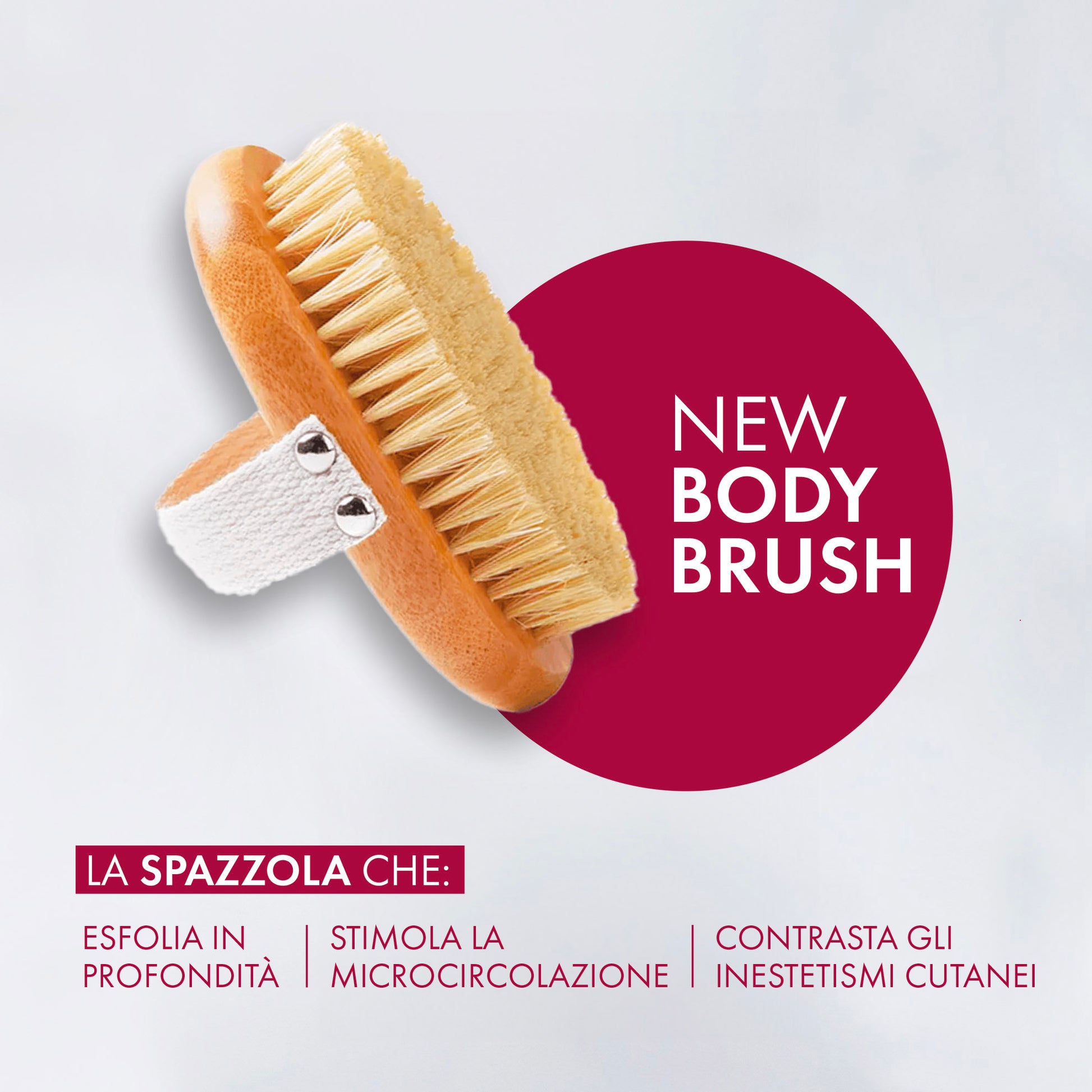 EXFOLIATING BOD BRUSH - DRAINING BRUSH FOR FIRM SKIN