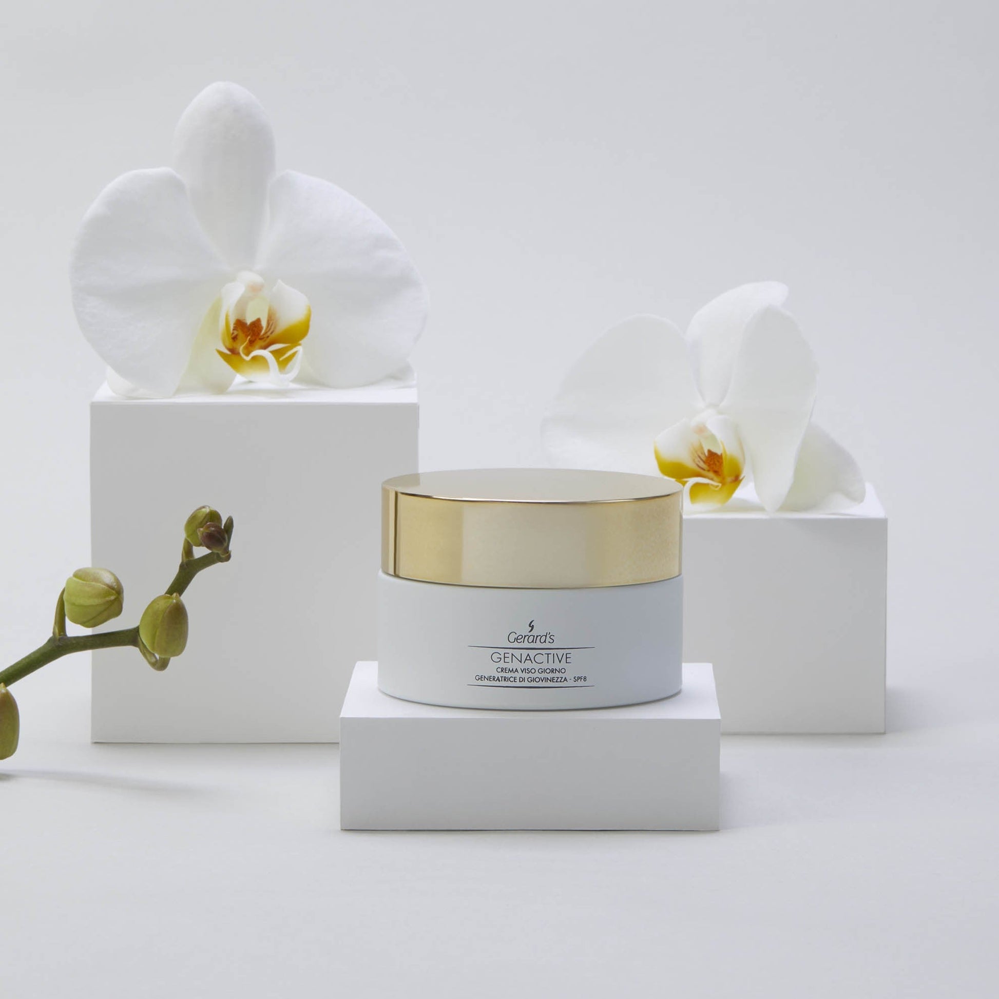 GENACTIVE CREMA VISO GIORNO GENERATRICE DI GIOVINEZZA - SPF 8 - Gerard's Cosmetic Culture